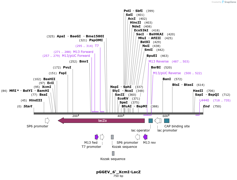 79955_map
