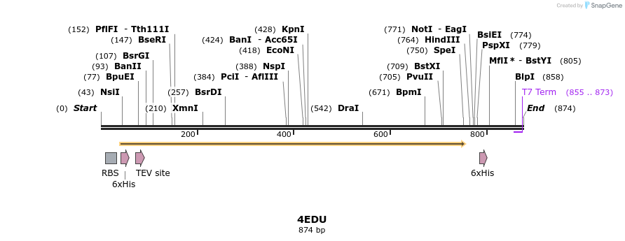 79957_map