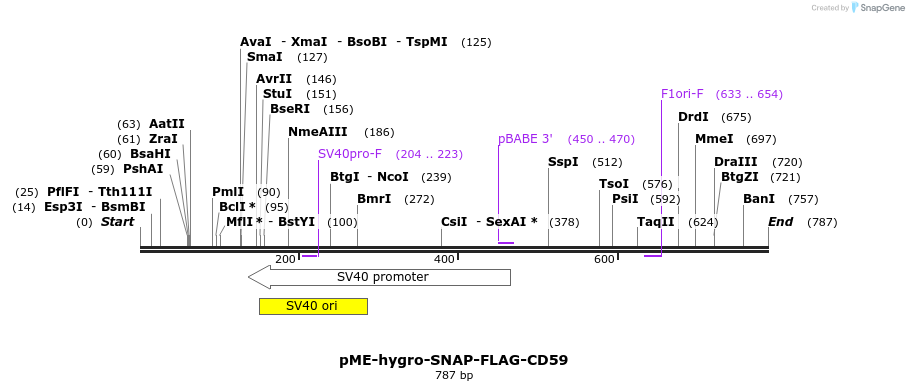79961_map