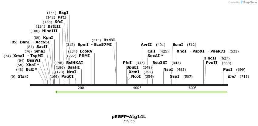 79966_map
