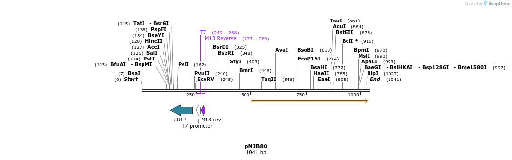 79977_map