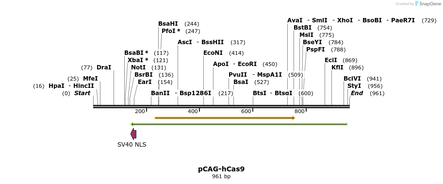 79979_map