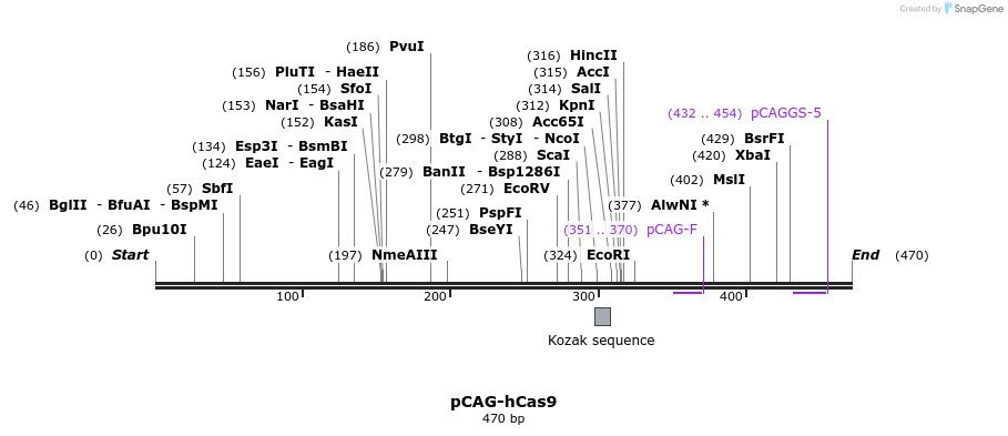 79980_map