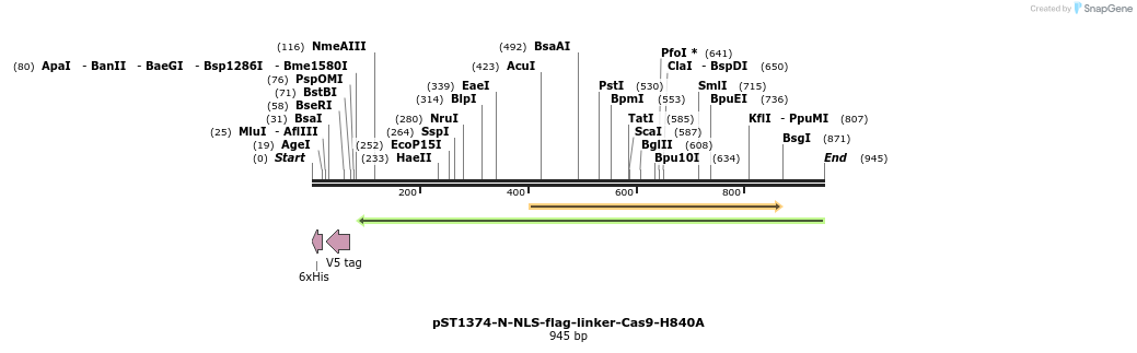 79982_map