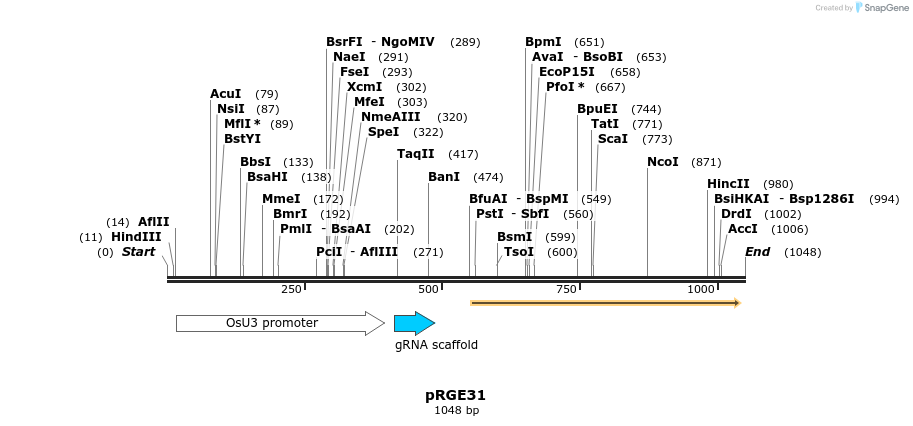 79984_map