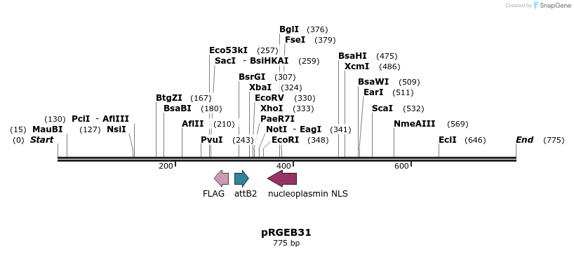 79987_map