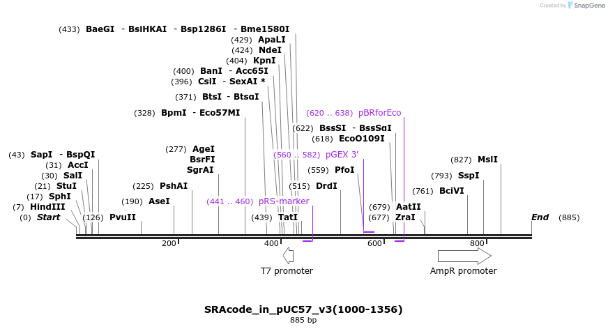 79989_map