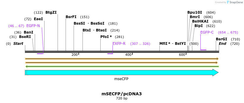 79991_map