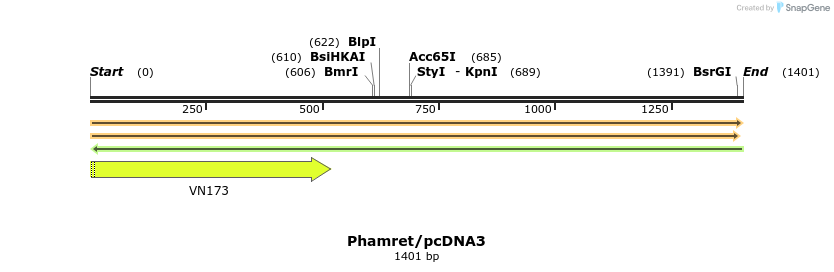 79993_map