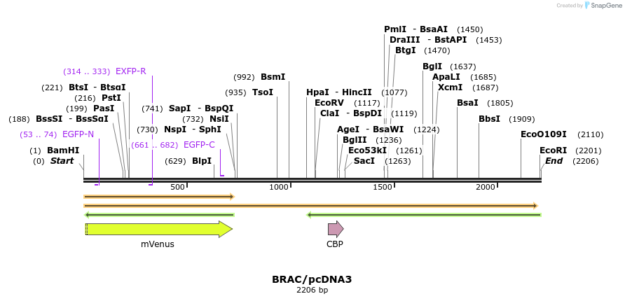 80005_map