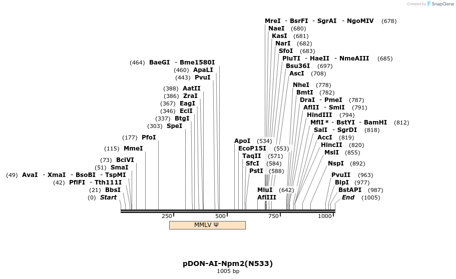 80006_map