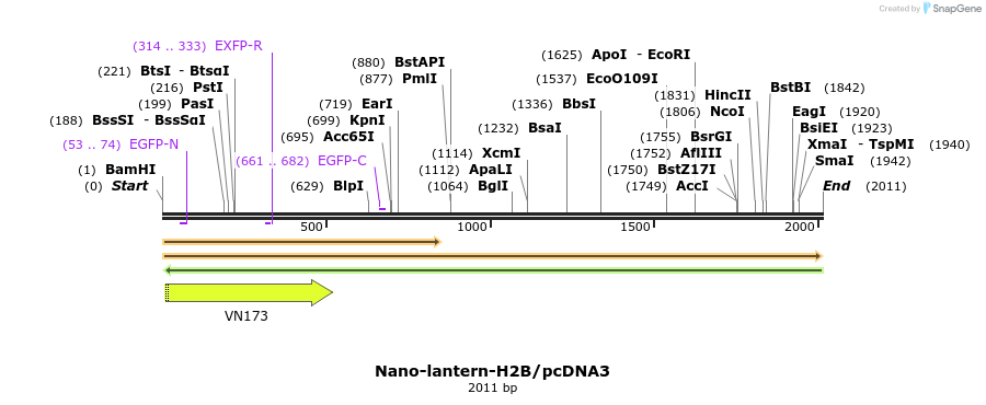 80010_map
