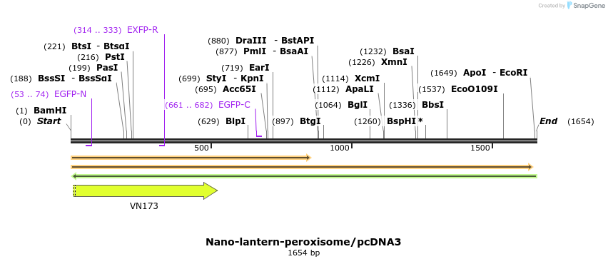 80012_map