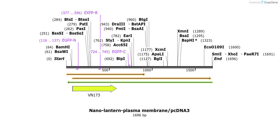 80013_map