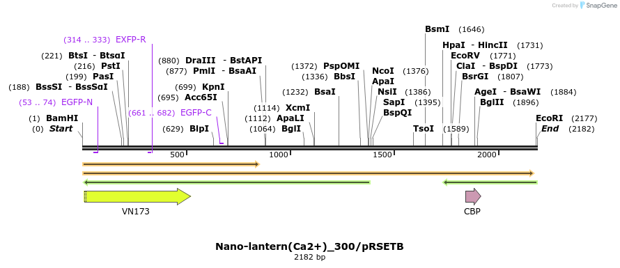 80015_map