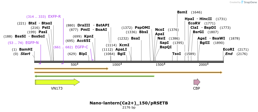 80016_map