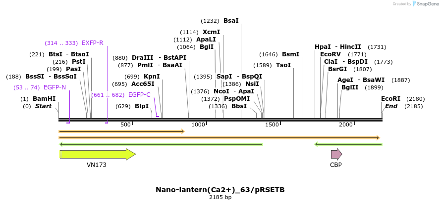 80018_map