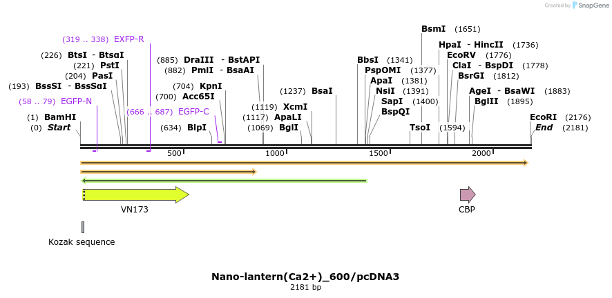 80020_map