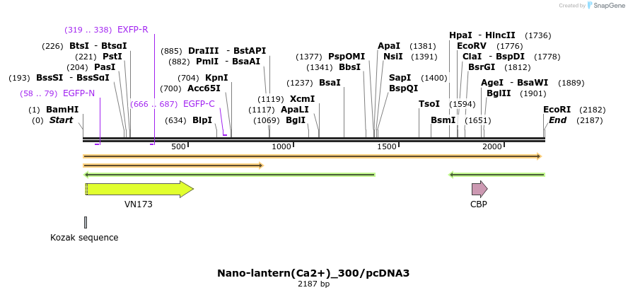 80021_map