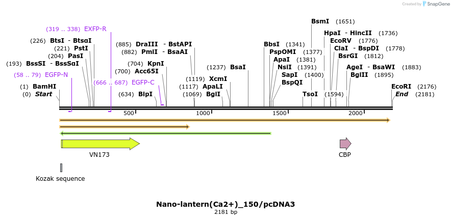 80022_map