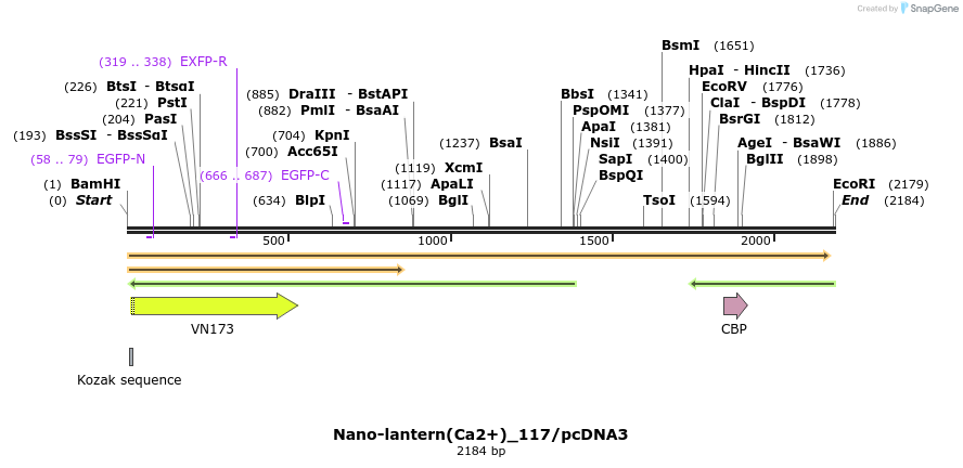 80023_map