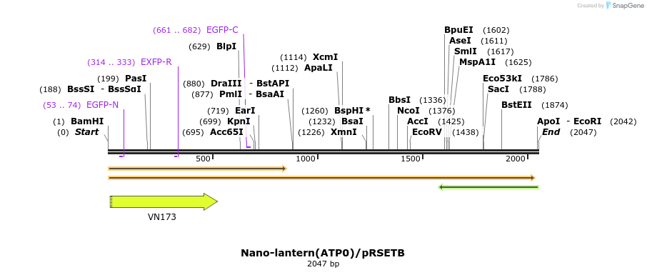 80027_map