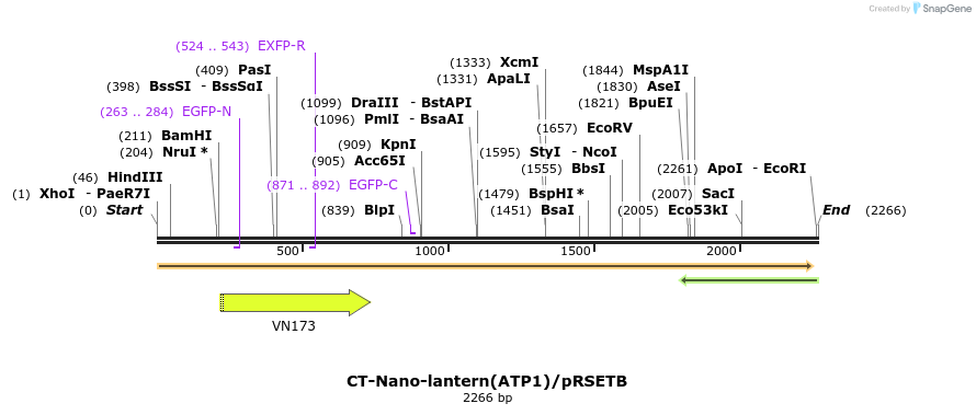 80028_map