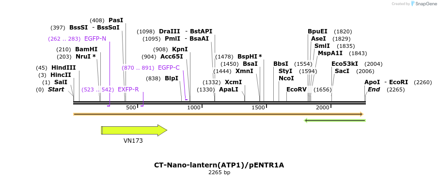 80029_map