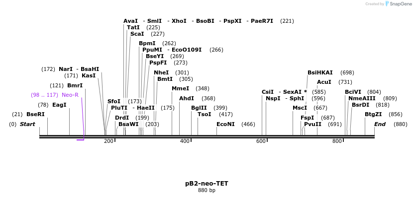 80034_map