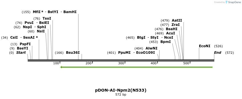 80038_map