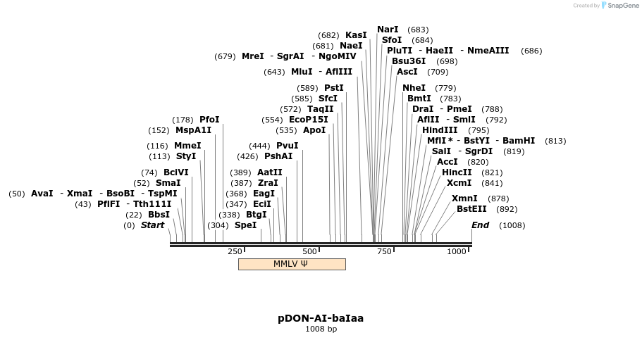 80043_map