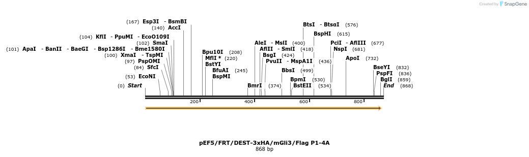 80044_map