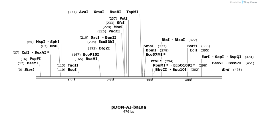 80045_map