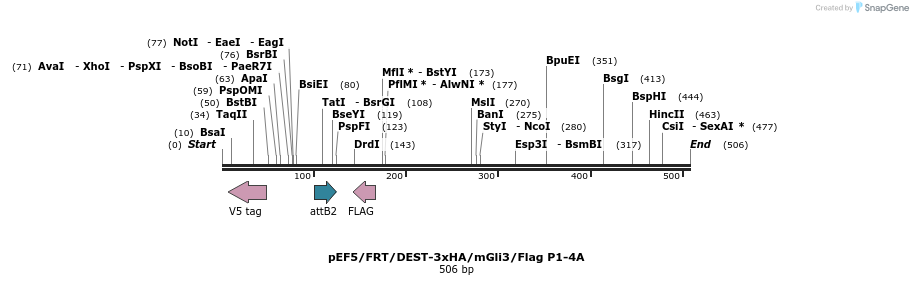 80046_map