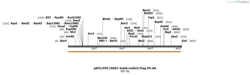 80048_map