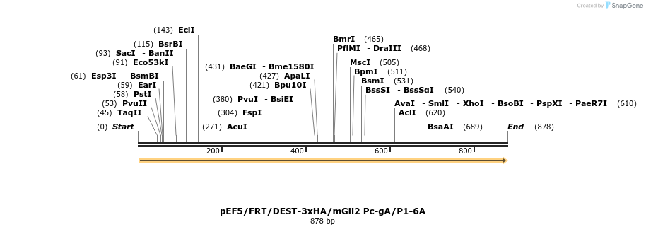 80049_map