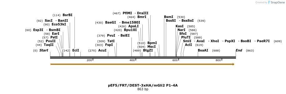 80052_map