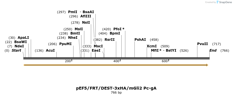 80054_map