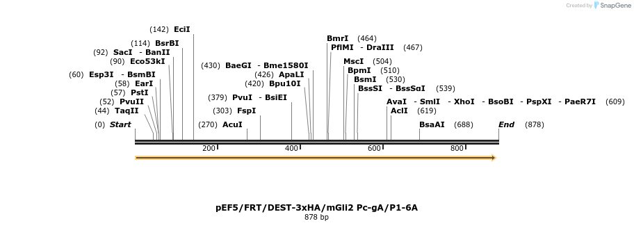 80055_map
