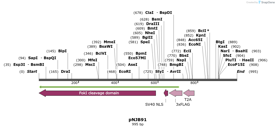 80056_map
