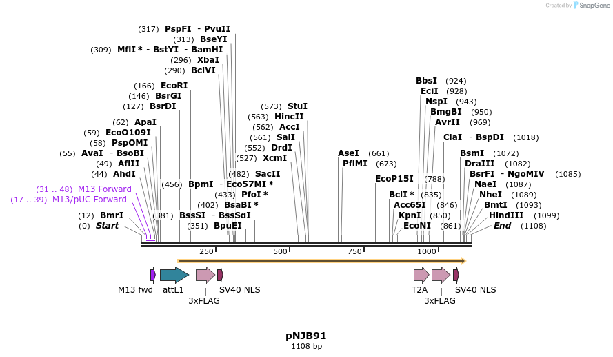 80058_map