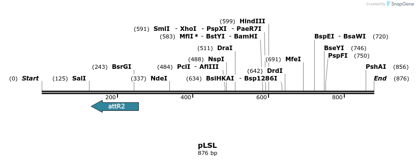 80061_map