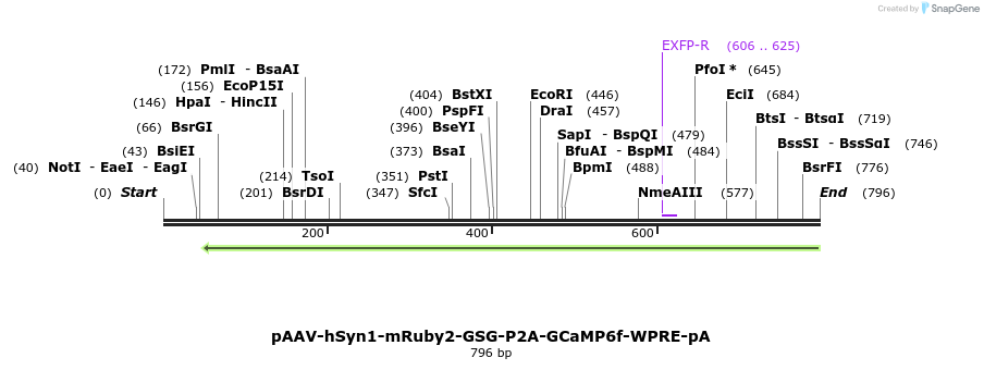 80065_map