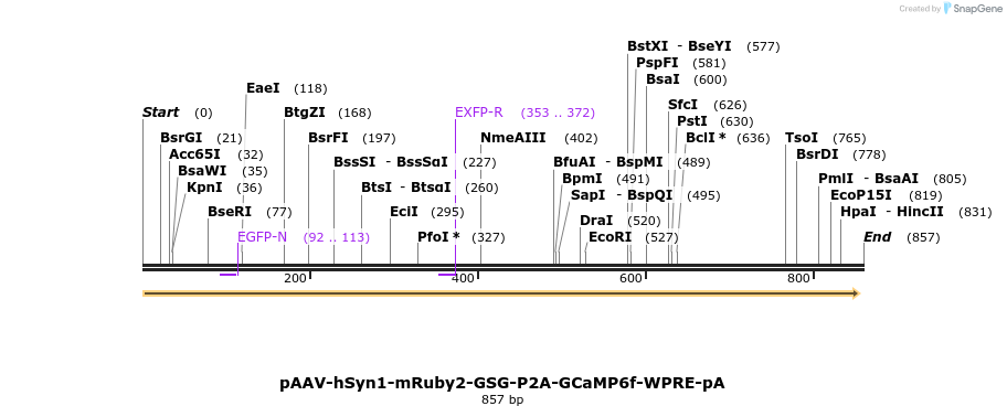 80066_map