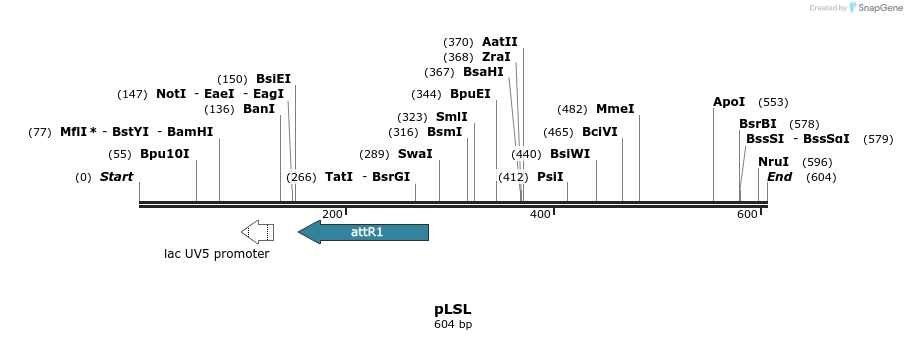 80067_map