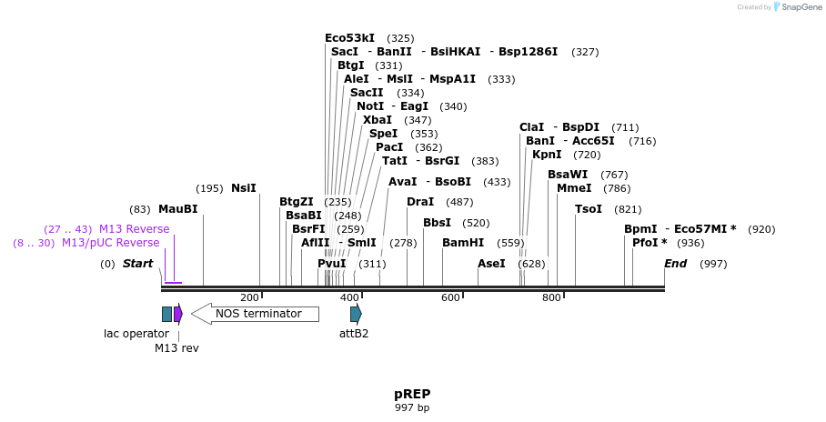 80069_map