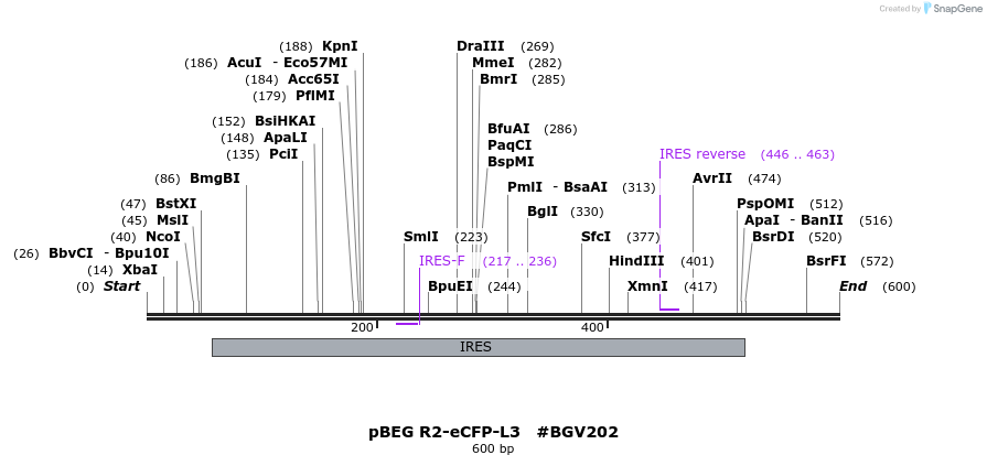 80070_map