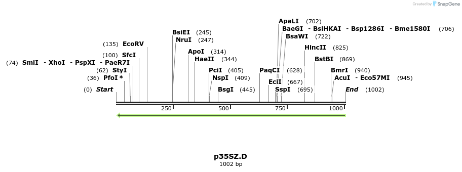 80071_map