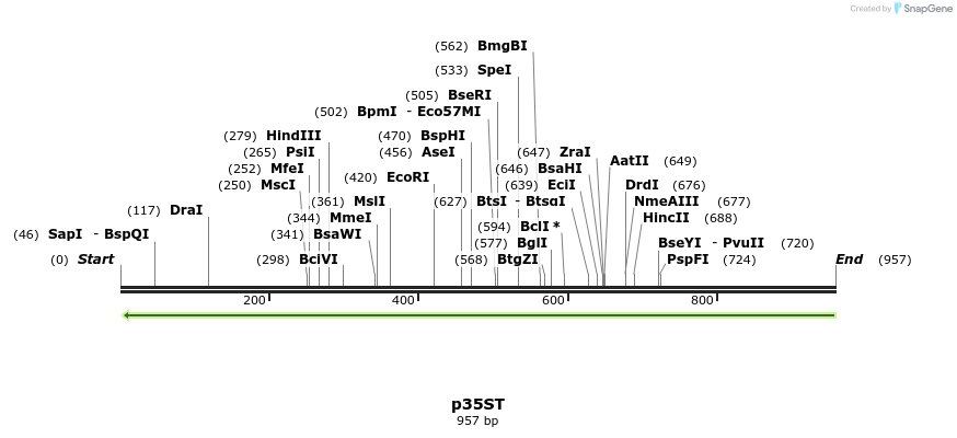 80072_map