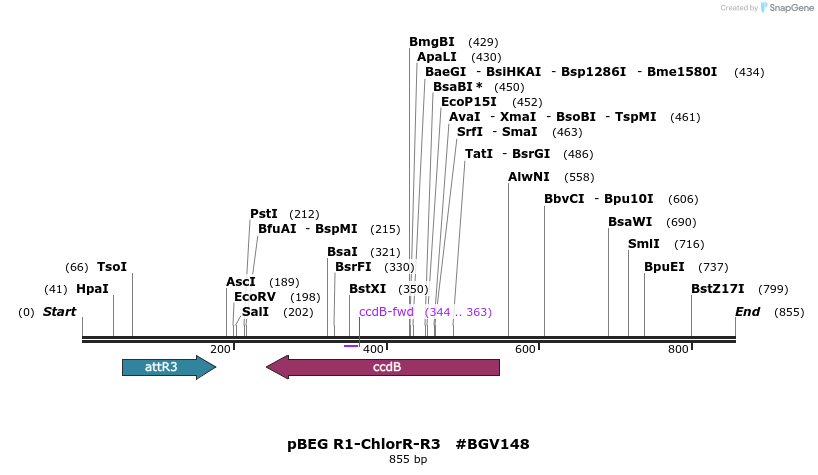 80073_map